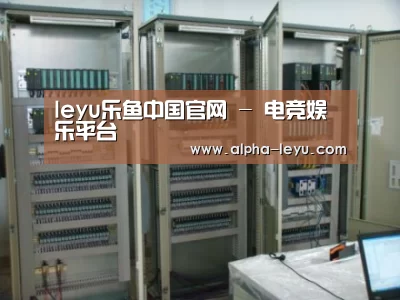 乐鱼平台官网案例展示五