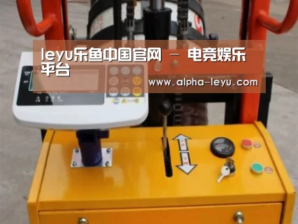 乐鱼平台官网案例展示三