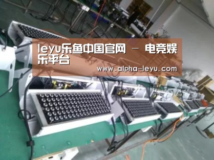 乐鱼平台官网案例展示一