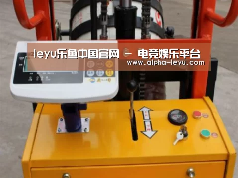 乐鱼平台官网案例展示三(图1)