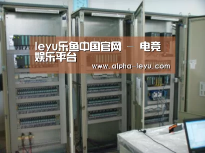 乐鱼平台官网案例展示五(图1)
