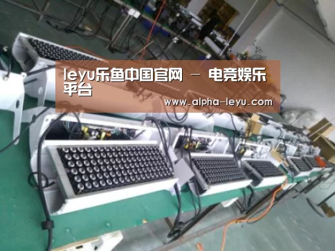 乐鱼平台官网案例展示一(图1)
