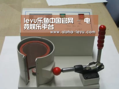 乐鱼平台官网案例展示六(图1)