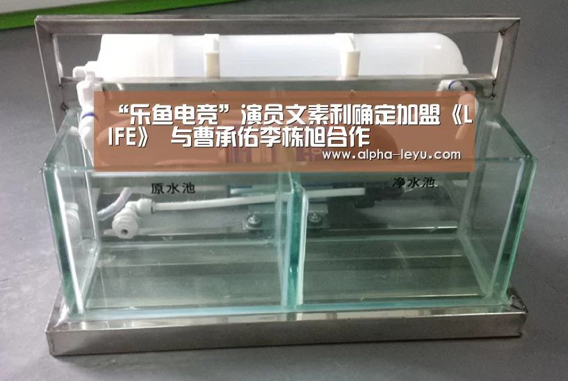 乐鱼