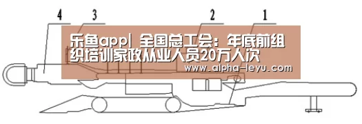 乐鱼app