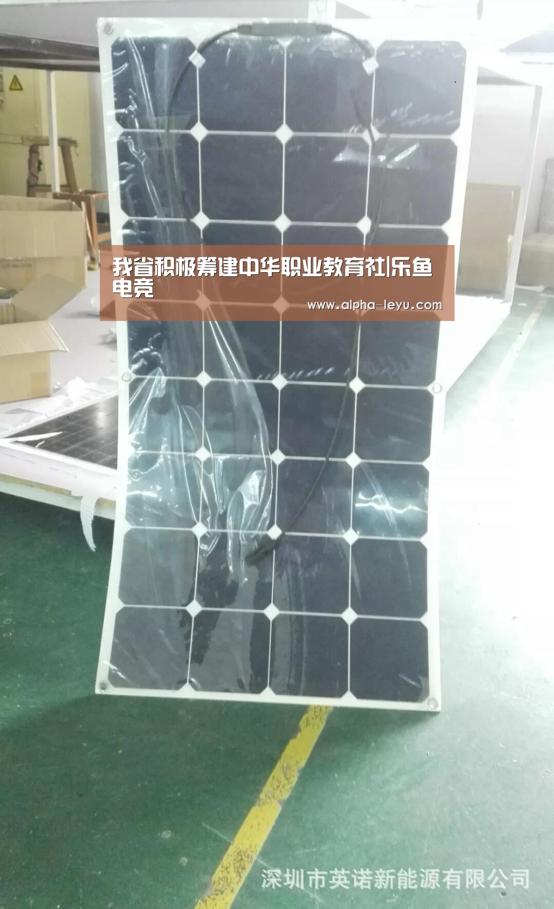 我省积极筹建中华职业教育社|乐鱼电竞(图1) 乐鱼