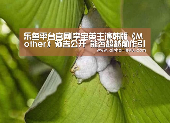 乐鱼平台官网|李宝英主演韩版《Mother》预告公开 能否超越前作引期待(图2) 乐鱼
